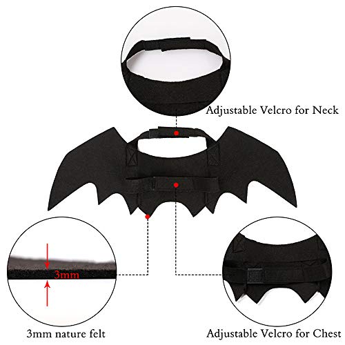Bat Wing Costume for Cats and Small Dogs with Adjustable Straps