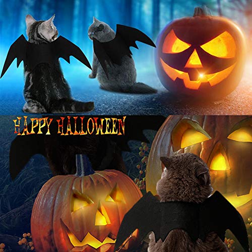 Bat Wing Costume for Cats and Small Dogs with Adjustable Straps