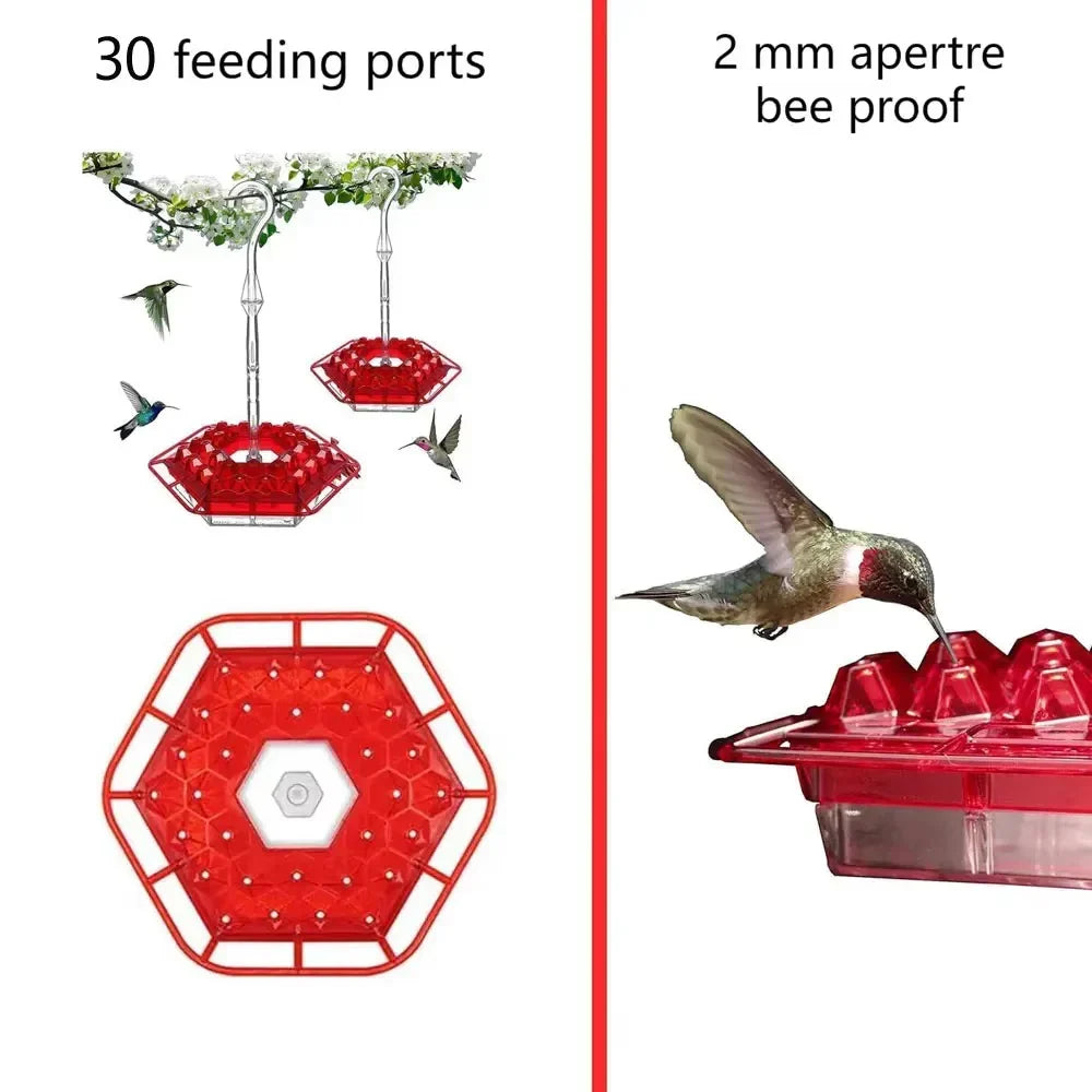 Hummingbird Feeder with Built-in Ant Moats and 30 Flower Ports, Hanging Design