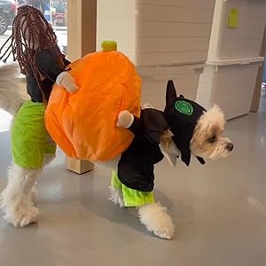 Dog Pumpkin Costume with Velvet Fabric and Secure Fit, 5 Sizes Available
