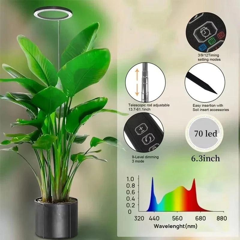 Full Spectrum LED Ring Light with Adjustable Height and Timer Control