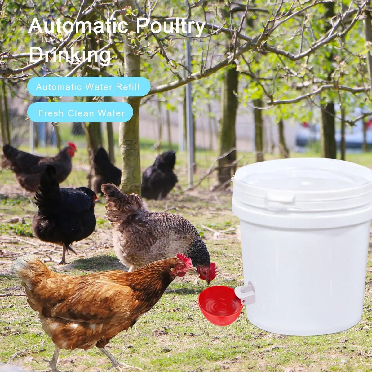 Gravity Chicken Waterer Cups with Spring Valve and Rubber Seals, 10-Pack