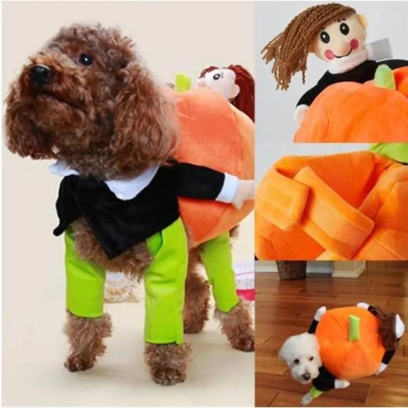 Dog Pumpkin Costume with Velvet Fabric and Secure Fit, 5 Sizes Available