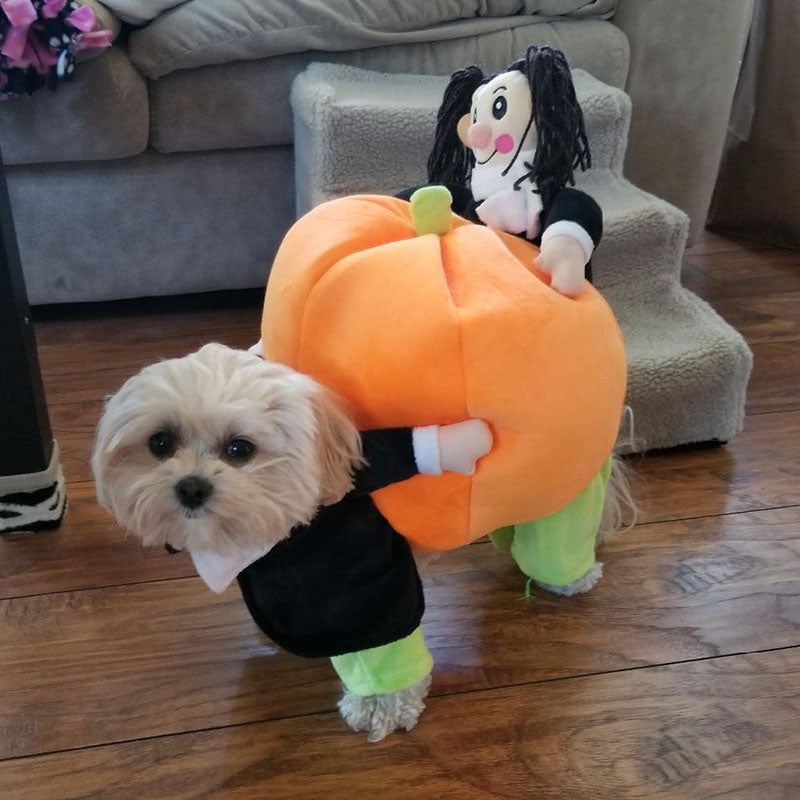 Dog Pumpkin Costume with Velvet Fabric and Secure Fit, 5 Sizes Available