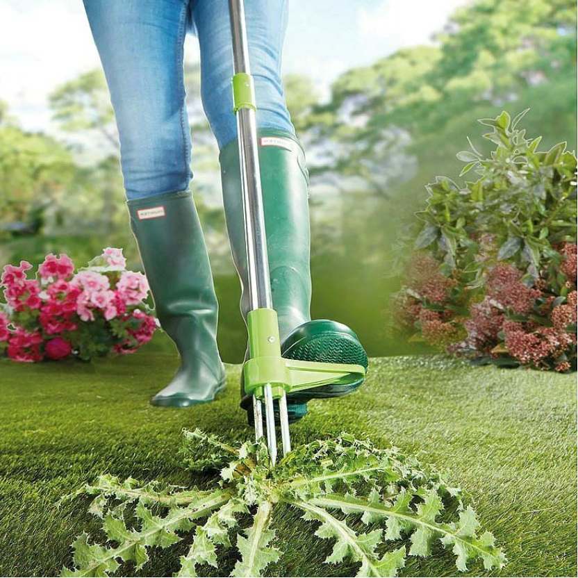 Standing Weed Puller with Spring Loaded Prongs and 36 Inch Handle