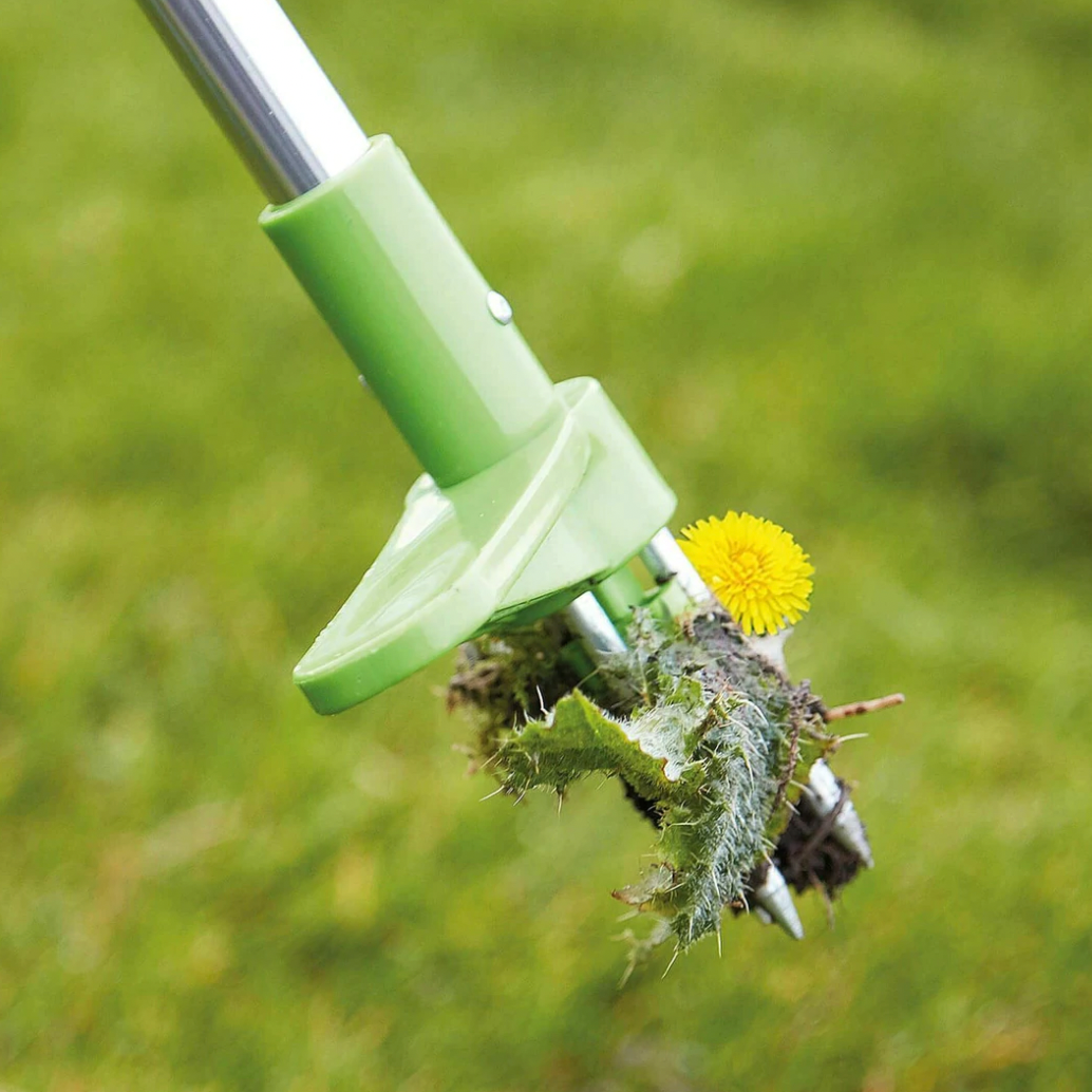 Standing Weed Puller with Spring Loaded Prongs and 36 Inch Handle