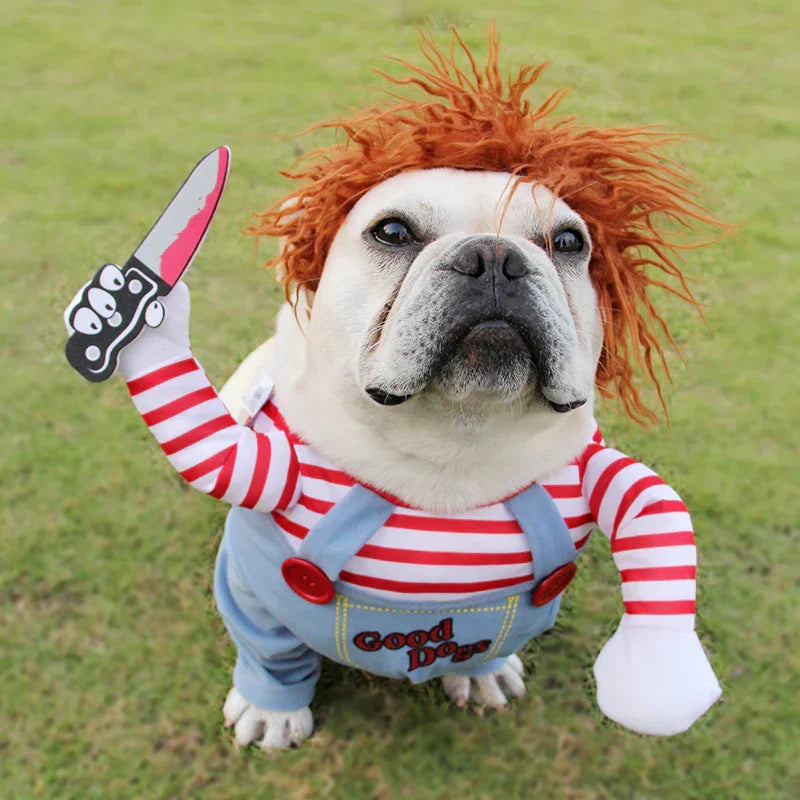 Halloween Dog Costume with Sweatshirt and Hat, Foam Prop Included
