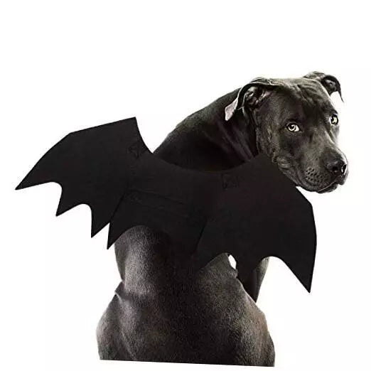 Dog Bat Wings Costume with Adjustable Straps and Felt Fabric