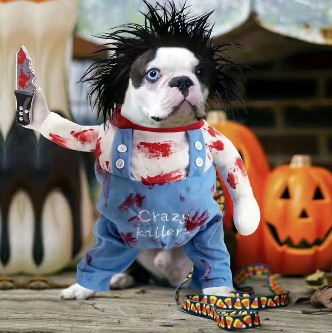 Halloween Dog Costume with Sweatshirt and Hat, Foam Prop Included