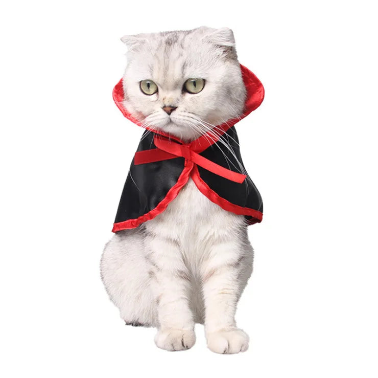 Cat Witch Costume with Glowing Accents and Dangling Decorations
