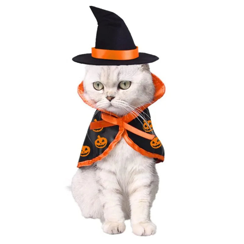 Cat Witch Costume with Glowing Accents and Dangling Decorations