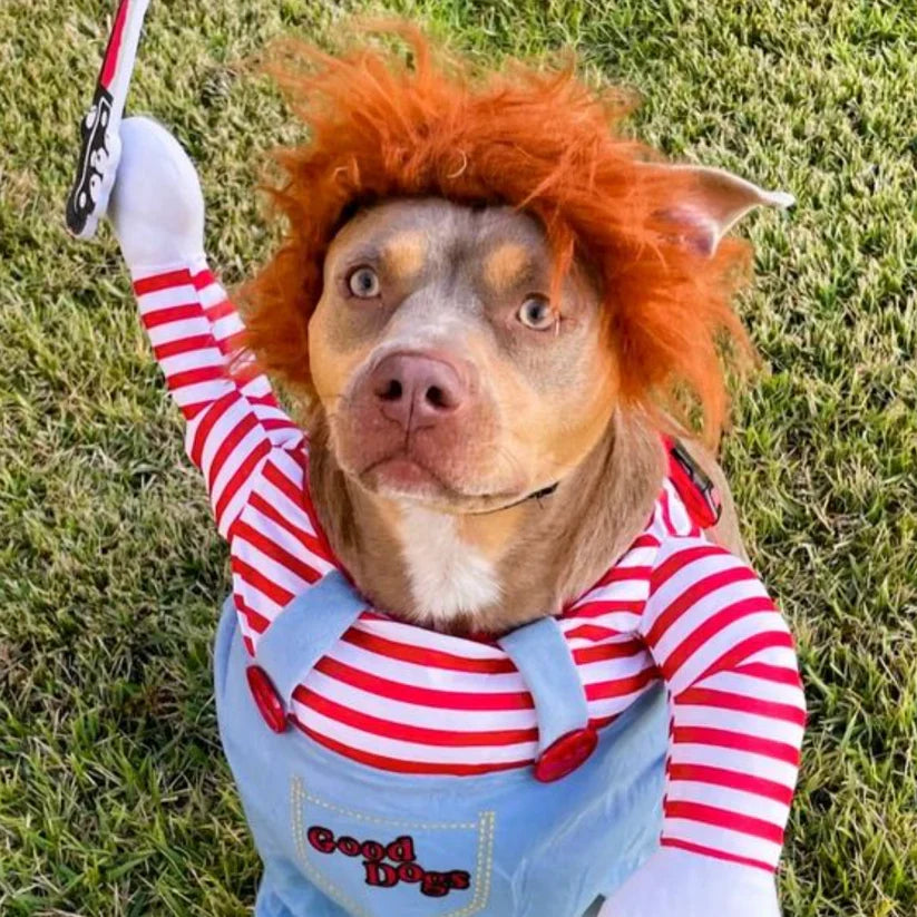 Halloween Dog Costume with Sweatshirt and Hat, Foam Prop Included