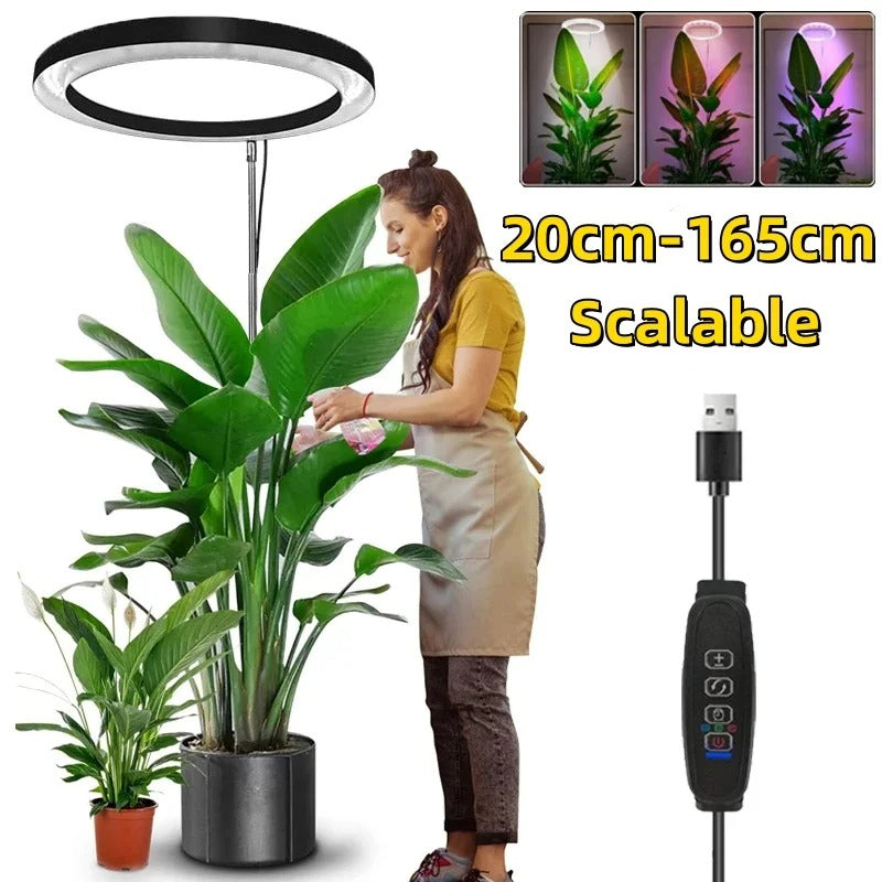 Full Spectrum LED Ring Light with Adjustable Height and Timer Control