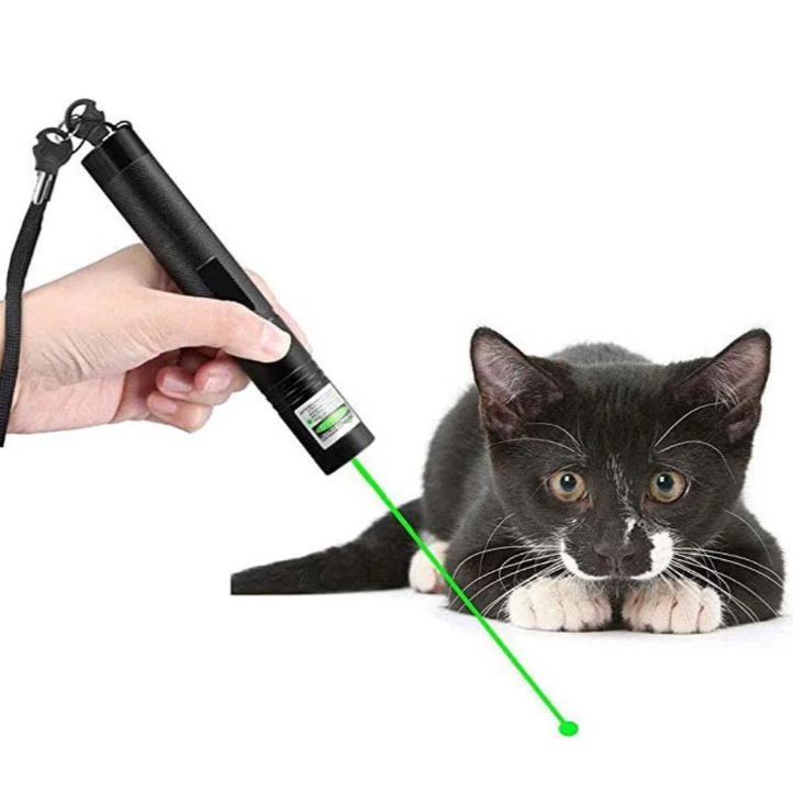 Dual Beam Laser Pointer with Adjustable Focus and Safety Lock, Rechargeable