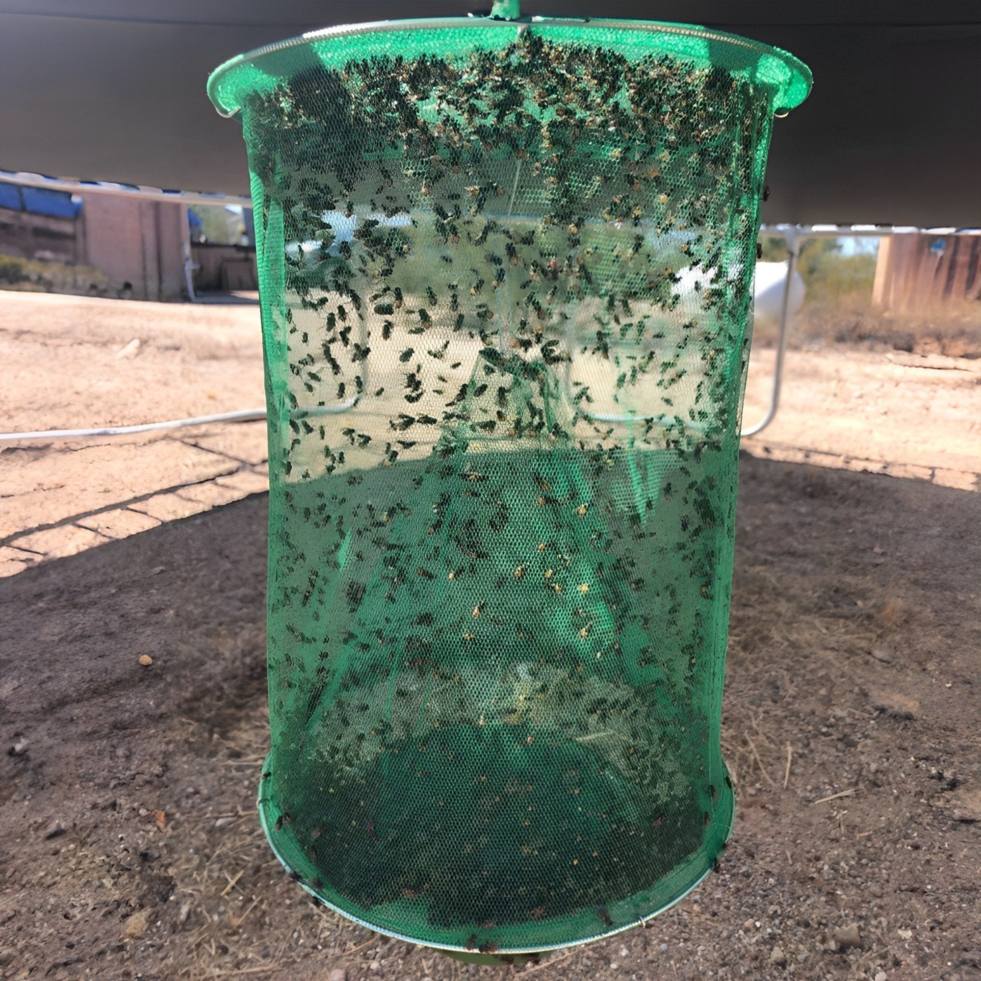 Reusable Fly Trap with Natural Bait and Expandable Container