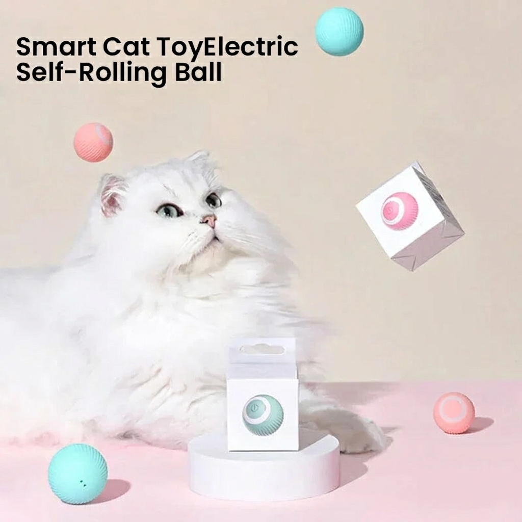 Smart Cat Entertainment Toy
