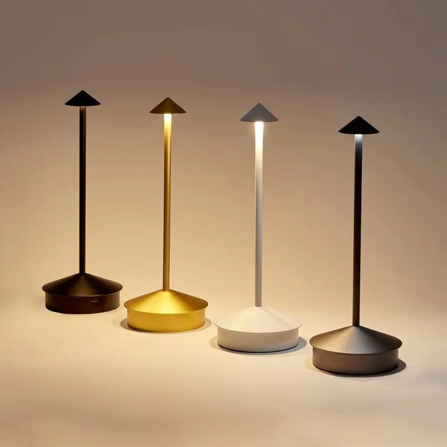Rechargeable LED Table Lamp with Touch Control and Three Color Temperatures - Alverraliving