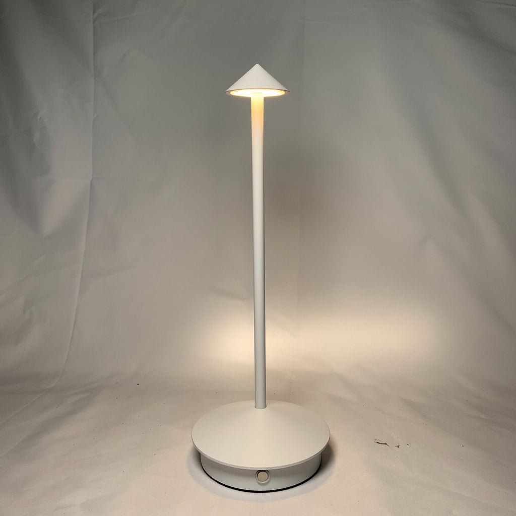 Rechargeable LED Table Lamp with Touch Control and Three Color Temperatures - Alverraliving