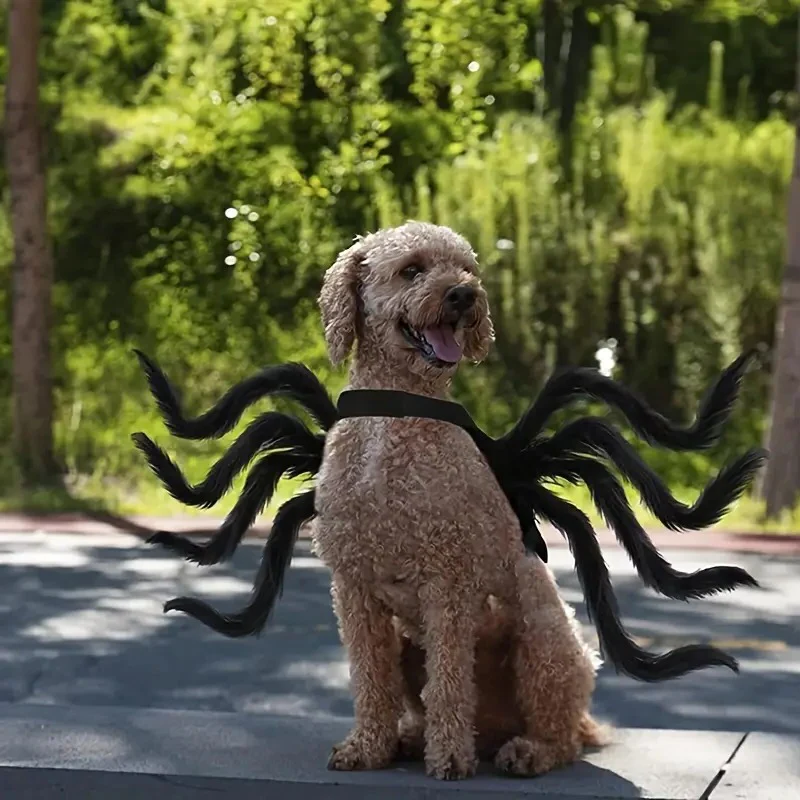 Spider Costume for Pets with Eight Attached Legs and Adjustable Straps