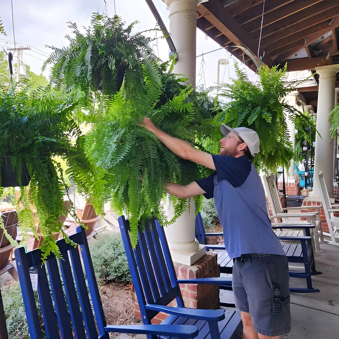 Artificial Boston Fern with 18 Branches and UV Resistant Plastic, 27.5in Spread