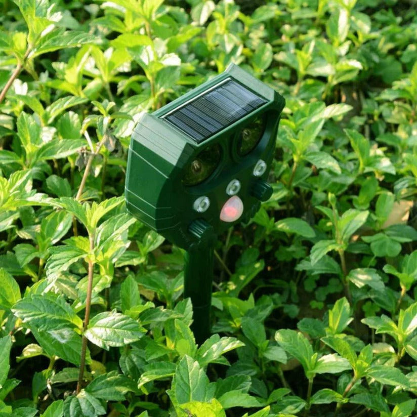 Motion Activated Animal Repellent with Ultrasonic Waves and Infrared Light for Cats, Foxes, Rats and Squirrels