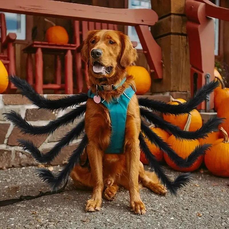 Spider Costume for Pets with Eight Attached Legs and Adjustable Straps