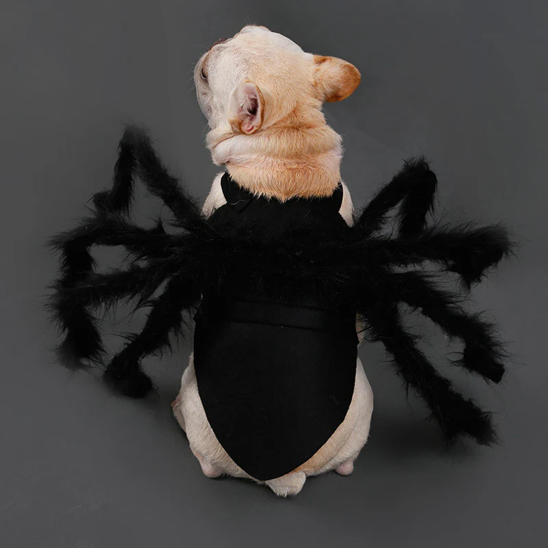 Spider Costume for Pets with Eight Attached Legs and Adjustable Straps