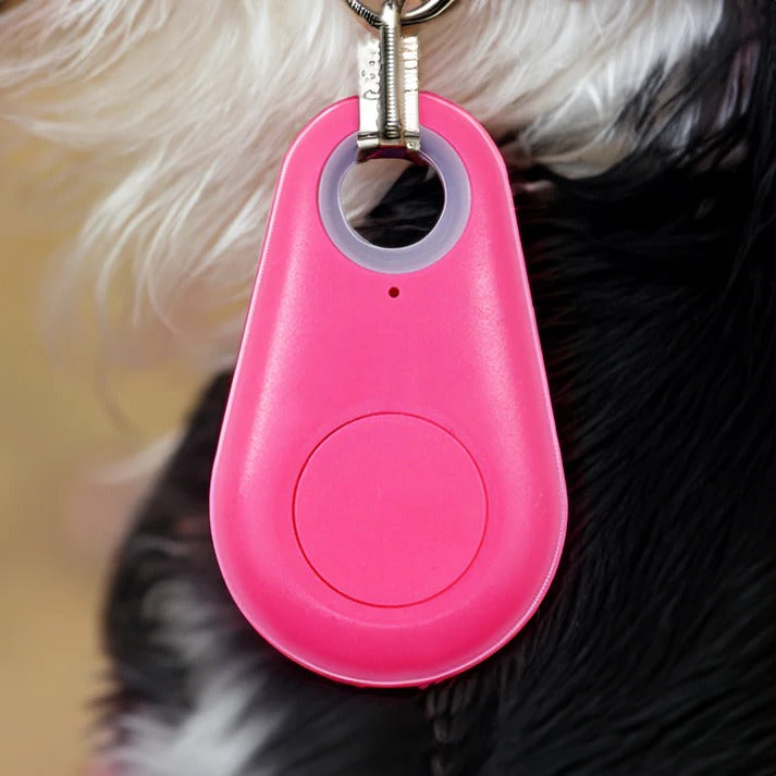 Wireless Pet Tracker with Real Time Location and Safe Zone Alerts