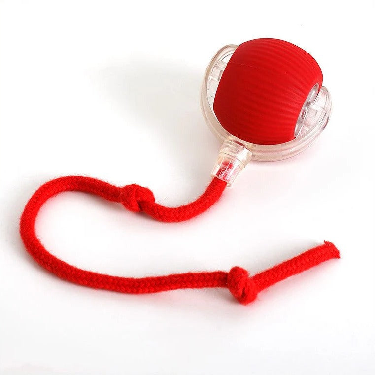 Interactive Rolling Ball Toy for Dogs with Detachable Tail and Random Movement