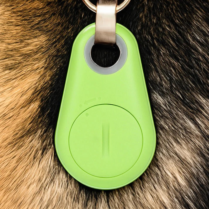 Wireless Pet Tracker with Real Time Location and Safe Zone Alerts