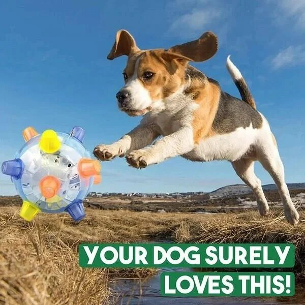 Interactive Bouncing Ball with LED Lights and Touch Activation for Dogs