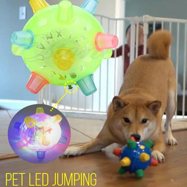 Interactive Bouncing Ball with LED Lights and Touch Activation for Dogs