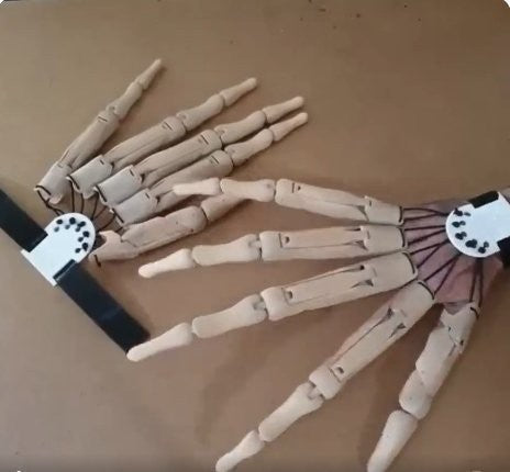 Finger Extension Claws with Articulated Joints and Elastic Wrist Strap, Pair Set All Vera Mart