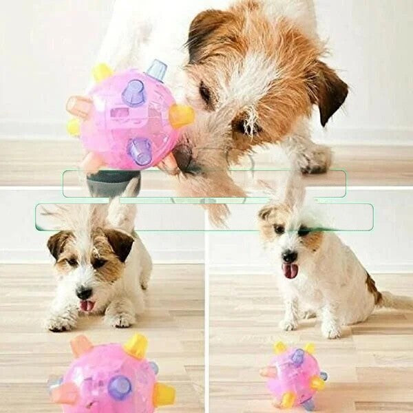 Interactive Bouncing Ball with LED Lights and Touch Activation for Dogs