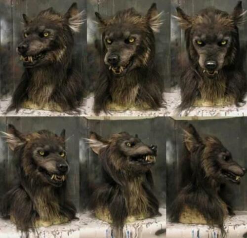 Scary Wolf Mask - Costume Mask for Halloween Masquerade Party - Gear Elevation