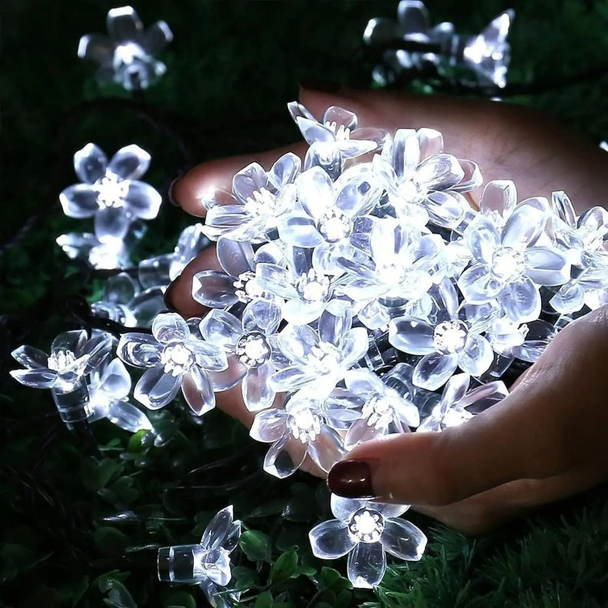 Solar Cherry Blossom String Lights with 5-Meter Copper Wire and Multiple Color Options
