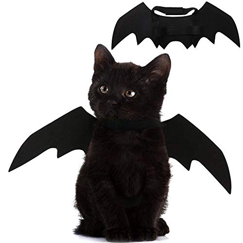 Bat Wing Costume for Cats and Small Dogs with Adjustable Straps