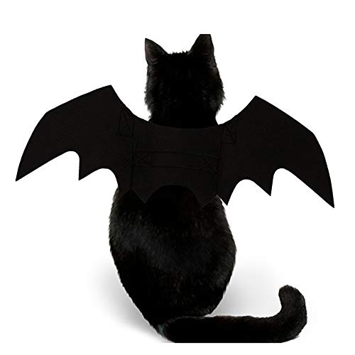 Bat Wing Costume for Cats and Small Dogs with Adjustable Straps