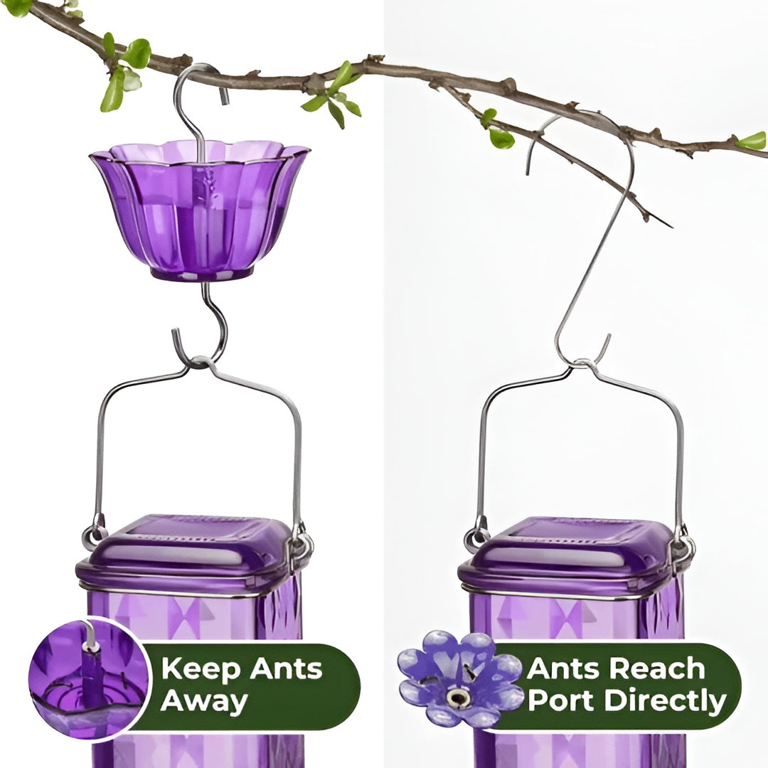 Glass Hummingbird Feeder with Six Feeding Ports and Built-in Ant Moat, 24oz