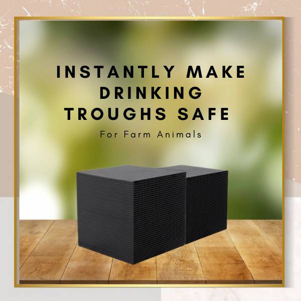 Activated Carbon Bio Cube for Livestock Water Tanks and Troughs