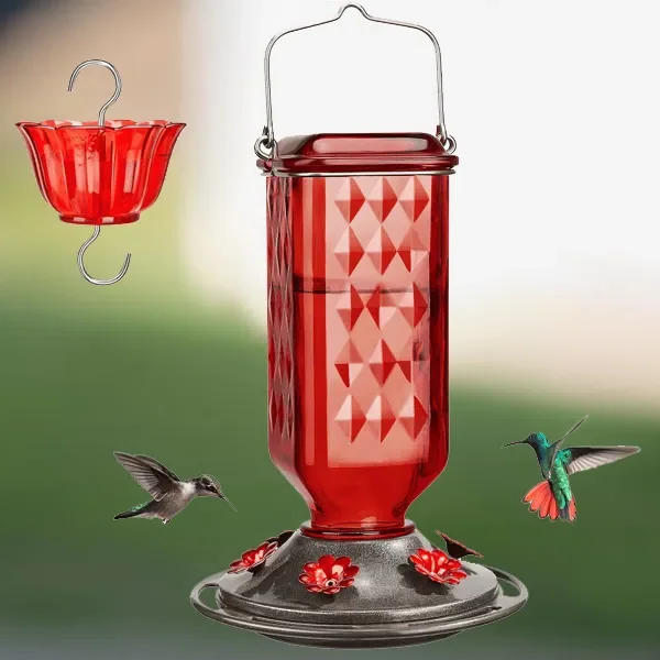 Glass Hummingbird Feeder with Six Feeding Ports and Built-in Ant Moat, 24oz