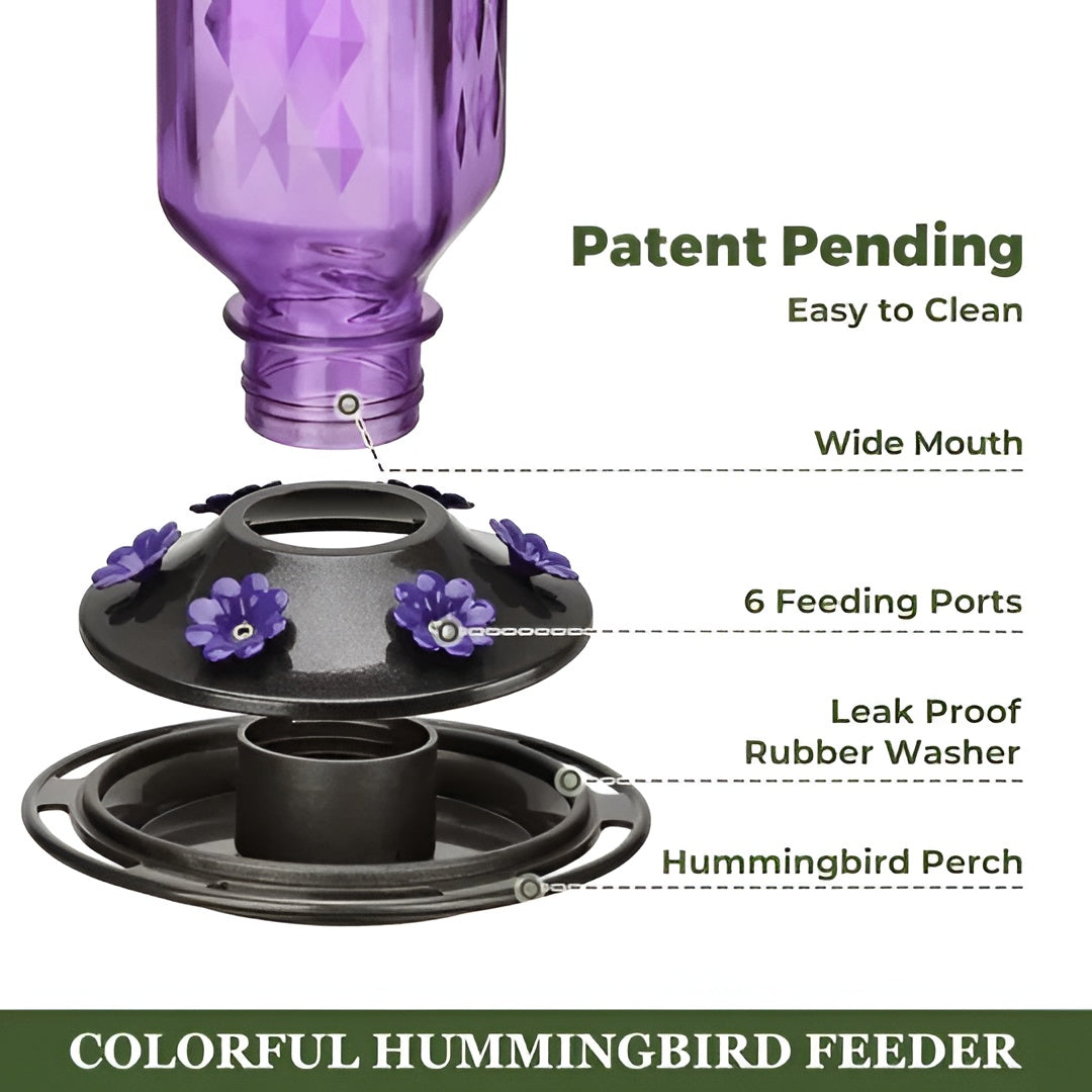 Glass Hummingbird Feeder with Six Feeding Ports and Built-in Ant Moat, 24oz