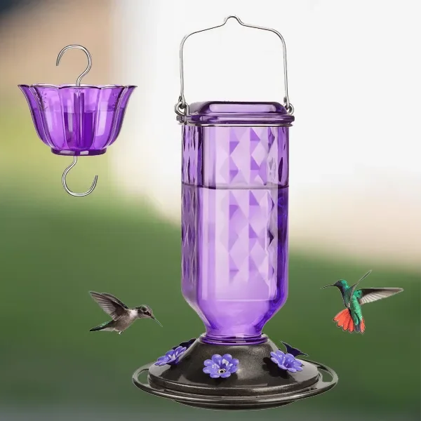 Glass Hummingbird Feeder with Six Feeding Ports and Built-in Ant Moat, 24oz