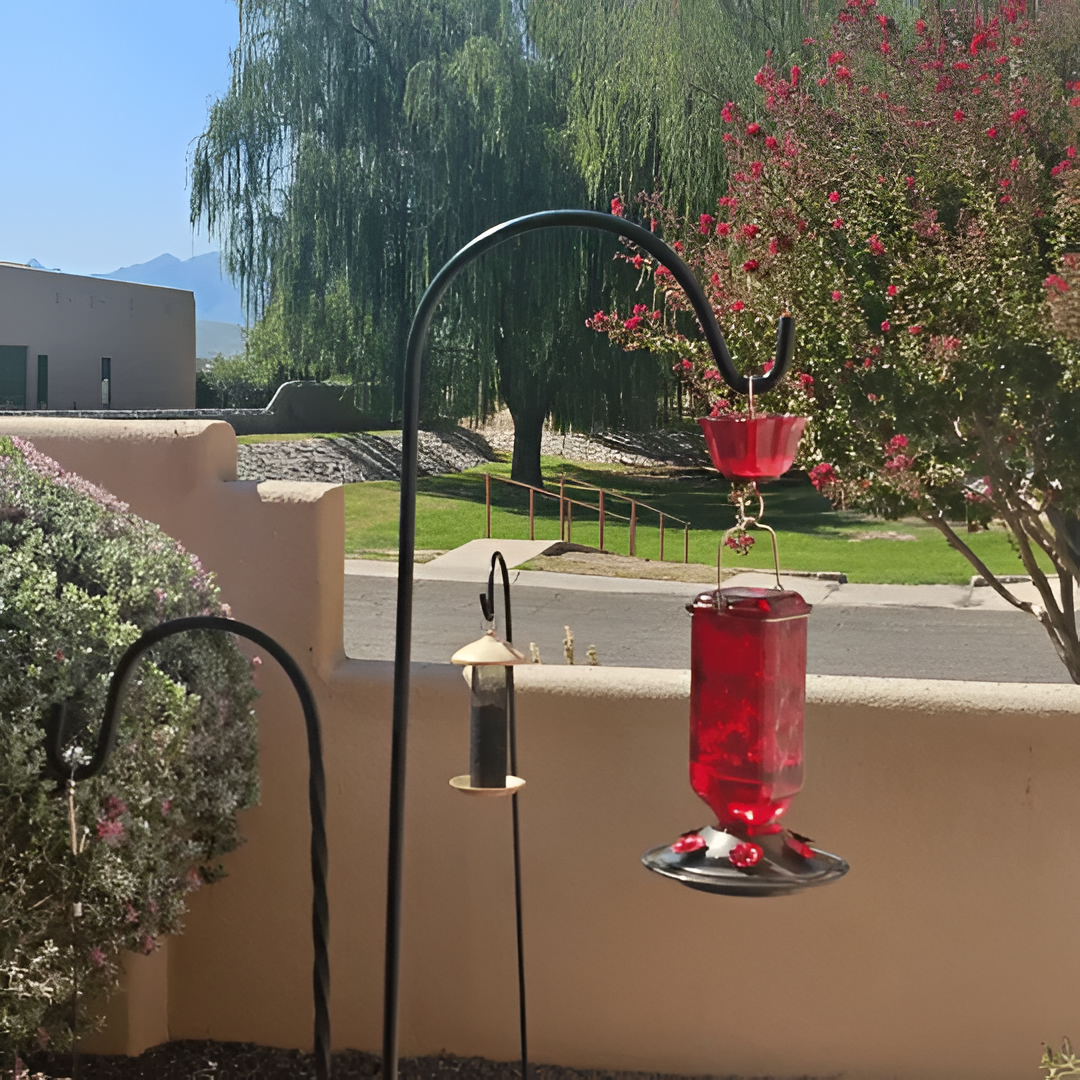 Glass Hummingbird Feeder with Six Feeding Ports and Built-in Ant Moat, 24oz