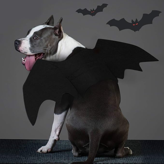 Dog Bat Wings Costume with Adjustable Straps and Felt Fabric