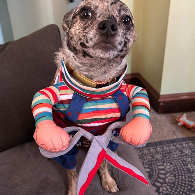 Halloween Dog Costume with Sweatshirt and Hat, Foam Prop Included