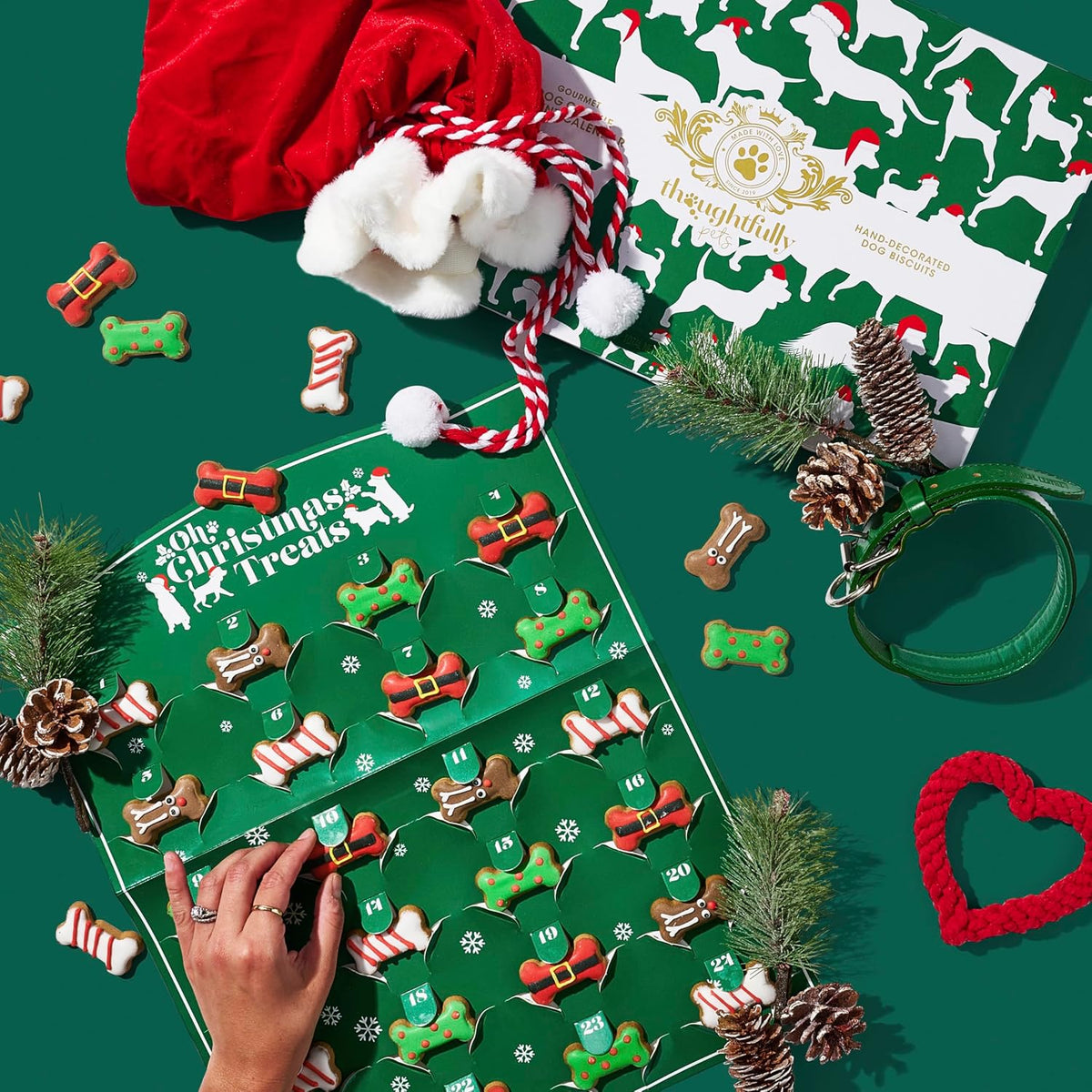 Advent Calendar for Dogs with 24 Gingerbread Biscuits and Festive Designs