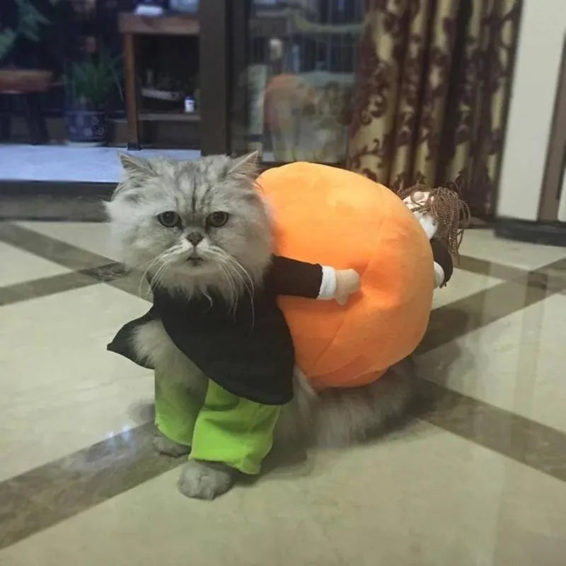 Dog Pumpkin Costume with Velvet Fabric and Secure Fit, 5 Sizes Available