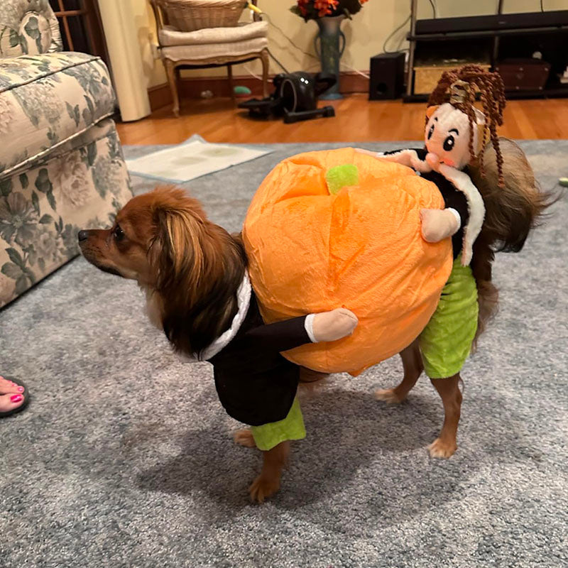 Dog Pumpkin Costume with Velvet Fabric and Secure Fit, 5 Sizes Available