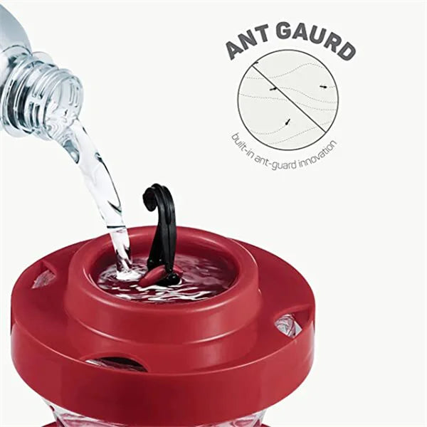 Hummingbird Feeder with Bee Blocking Ports and Ant Moat, 16 Ounce Capacity